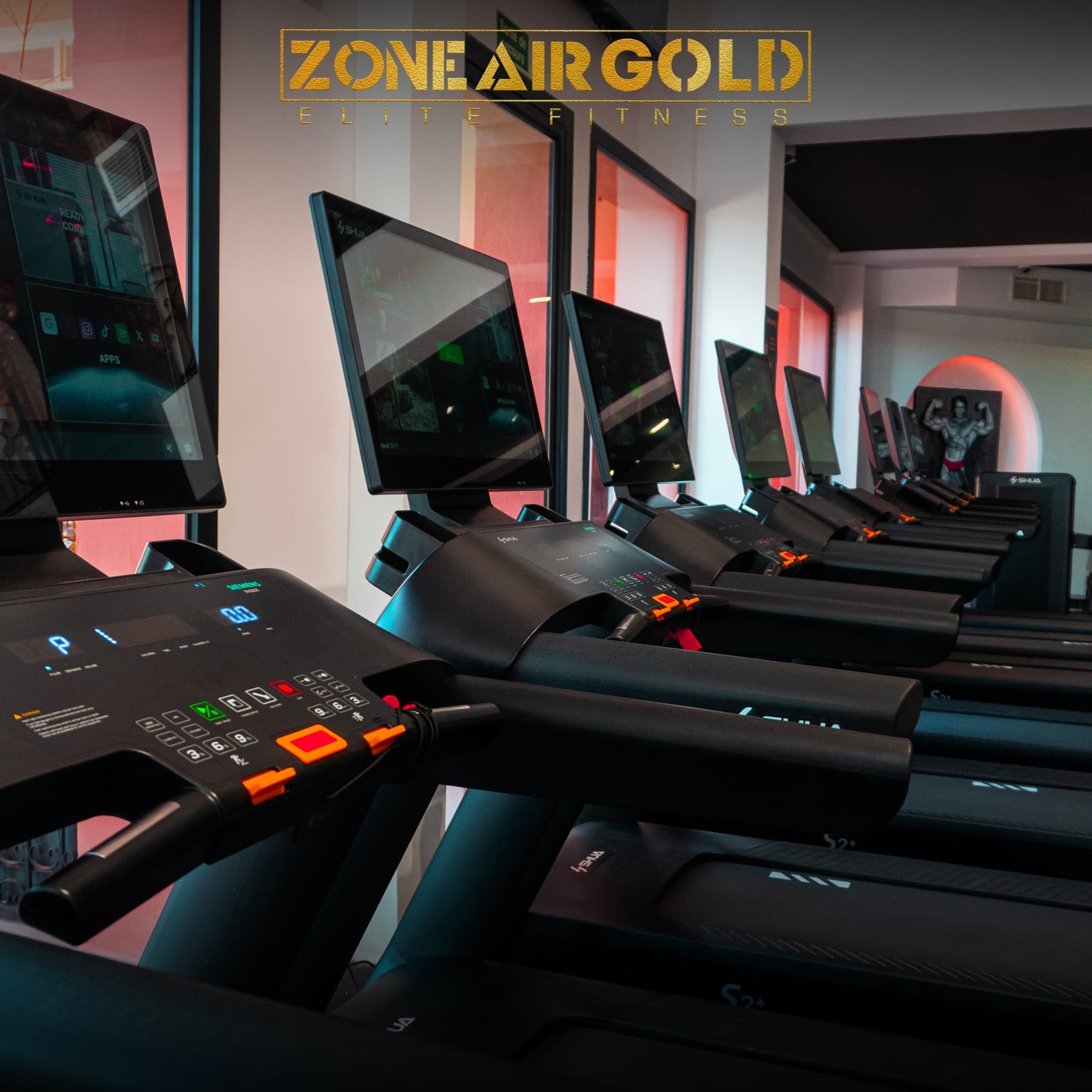 Tapis de course Zone Air Gold